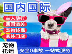 昌都邦达空运公司国际宠物托运 【国